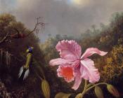 马丁约翰逊赫德 - Fighting Hummingbirds with Pink Orchid